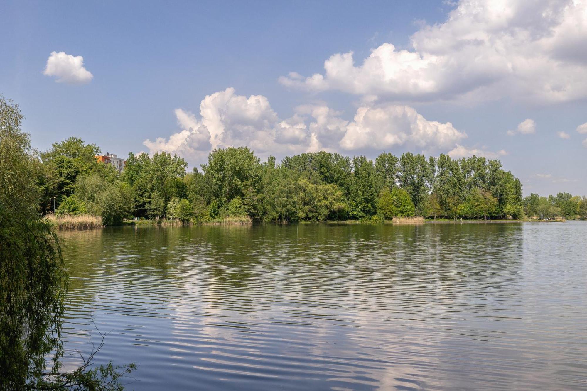 Bezowy Przy Parku W Katowicach Z Widokiem Na Staw I Biurkiem By Renters Katowice